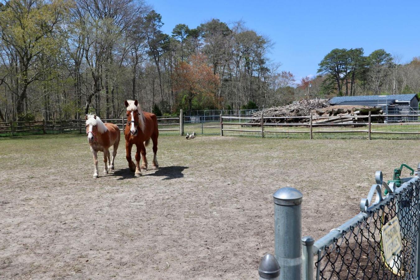 828 Harrison Avenue, Mays Landing, NJ, 08330, United States, 2 Bedrooms Bedrooms, ,1 BathroomBathrooms,Residential,For Sale,828 Harrison Avenue,1522548