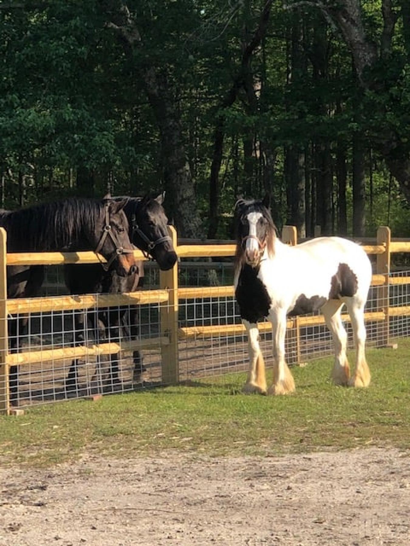 828 Harrison Avenue, Mays Landing, NJ, 08330, United States, 2 Bedrooms Bedrooms, ,1 BathroomBathrooms,Residential,For Sale,828 Harrison Avenue,1522548