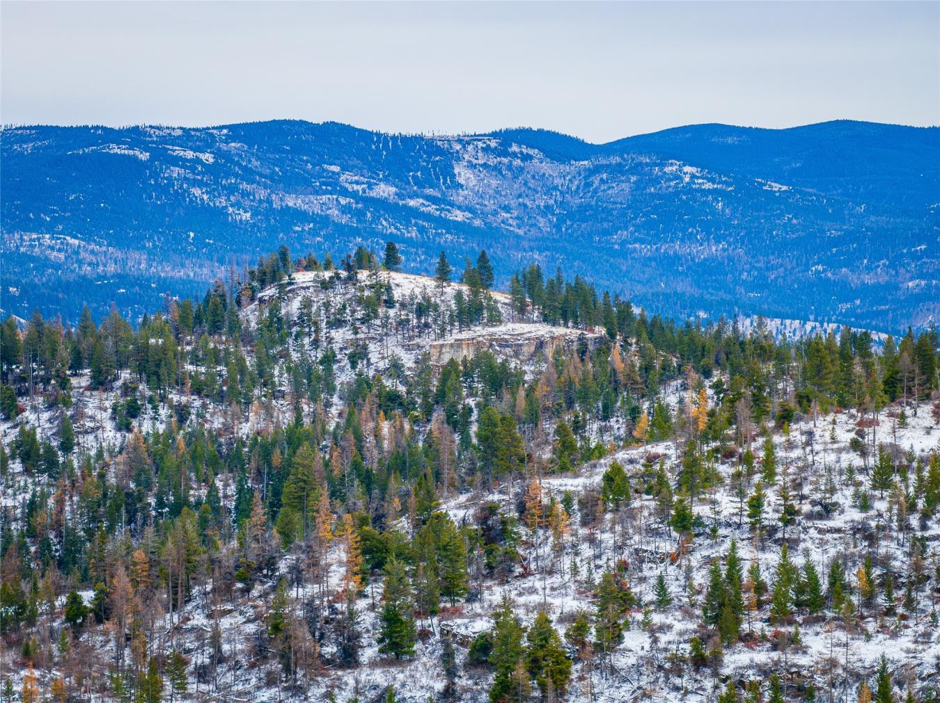 Nhn Danielson Road, Kalispell, MT, 59901, United States, ,Residential,For Sale,Nhn Danielson Road,1535731