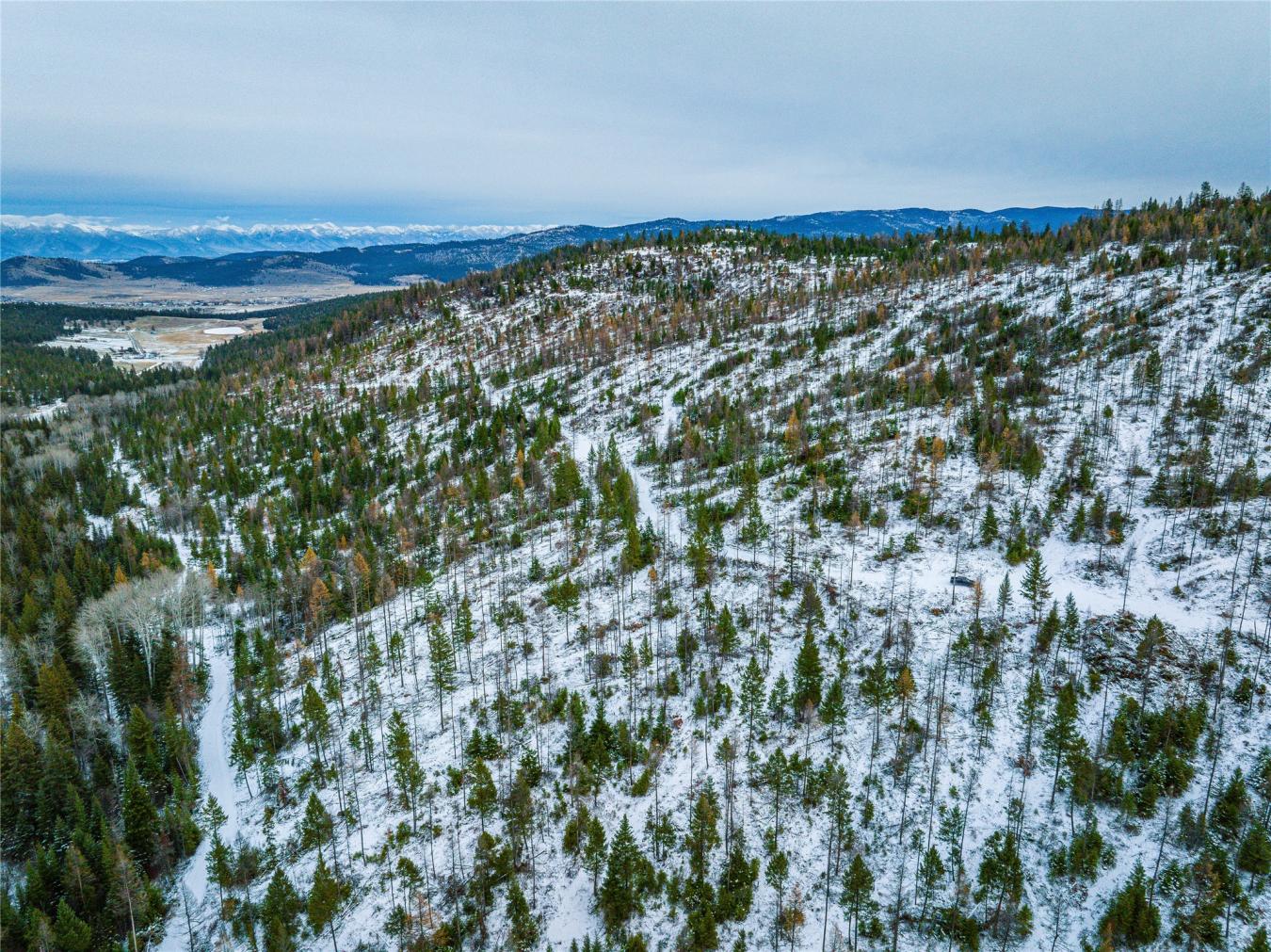 Nhn Danielson Road, Kalispell, MT, 59901, United States, ,Residential,For Sale,Nhn Danielson Road,1535731