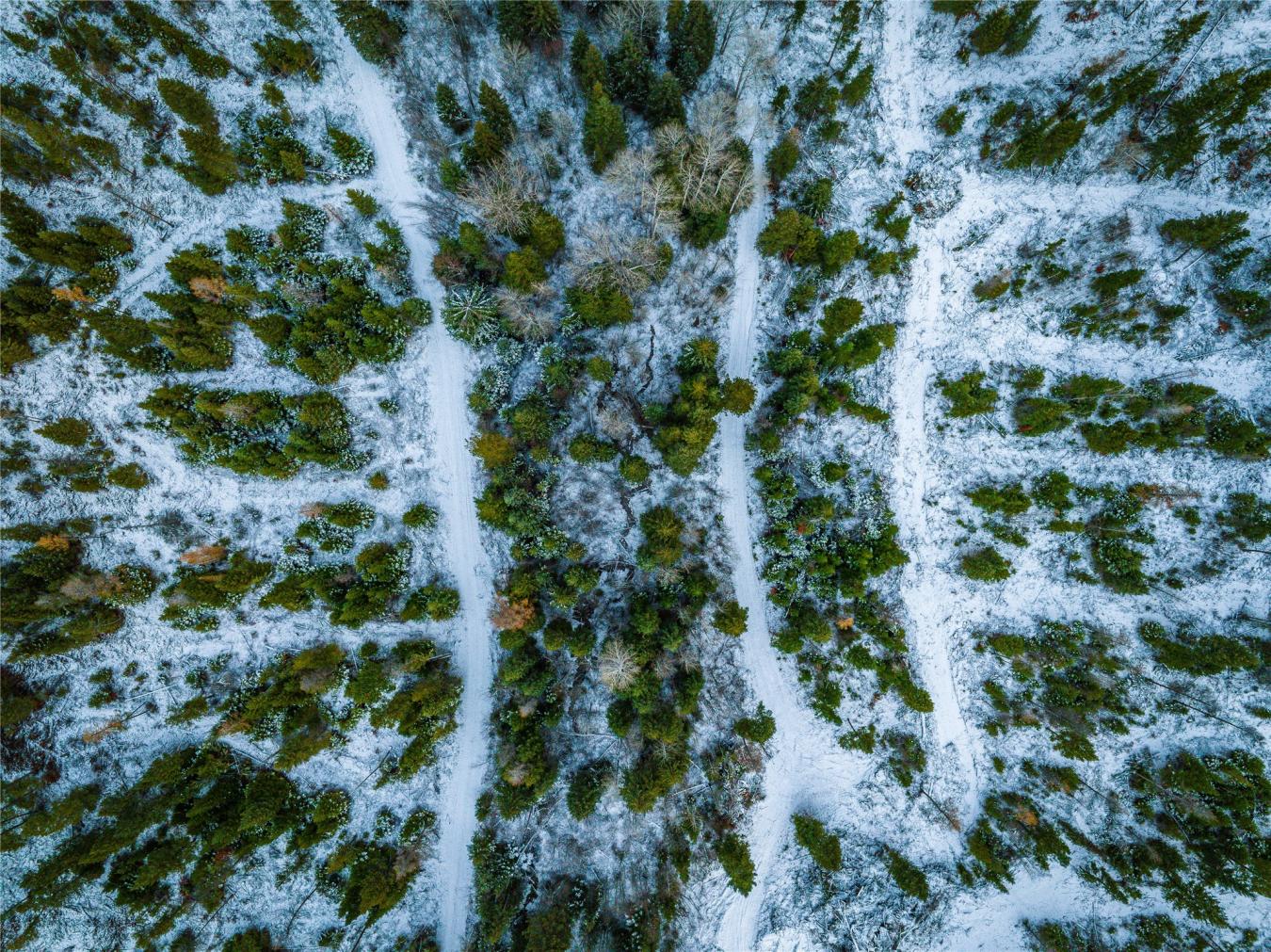 Nhn Danielson Road, Kalispell, MT, 59901, United States, ,Residential,For Sale,Nhn Danielson Road,1535731