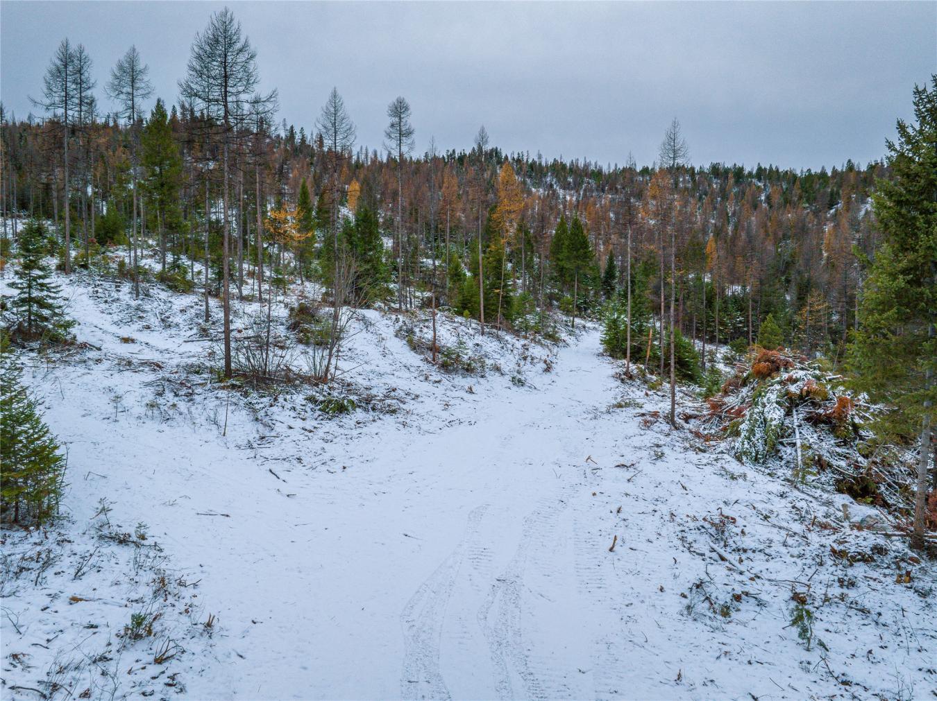 Nhn Danielson Road, Kalispell, MT, 59901, United States, ,Residential,For Sale,Nhn Danielson Road,1535731