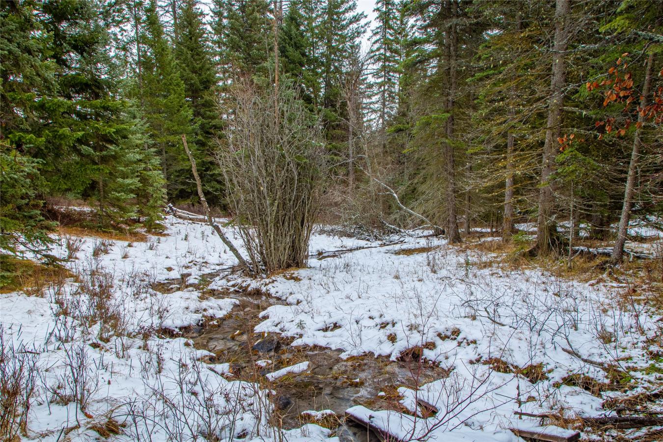 Nhn Danielson Road, Kalispell, MT, 59901, United States, ,Residential,For Sale,Nhn Danielson Road,1535731