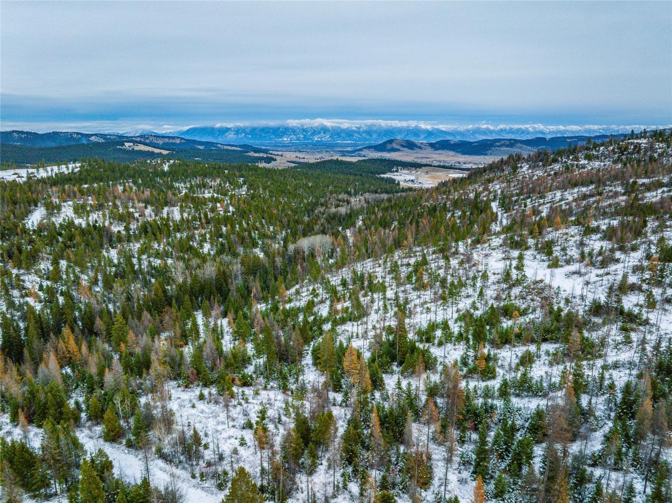 Nhn Danielson Road, Kalispell, MT, 59901, United States, ,Residential,For Sale,Nhn Danielson Road,1535731