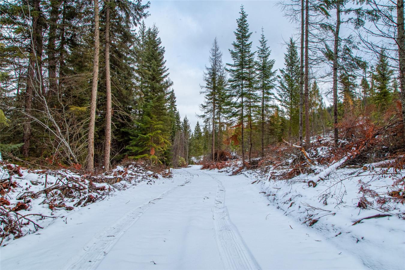 Nhn Danielson Road, Kalispell, MT, 59901, United States, ,Residential,For Sale,Nhn Danielson Road,1535731