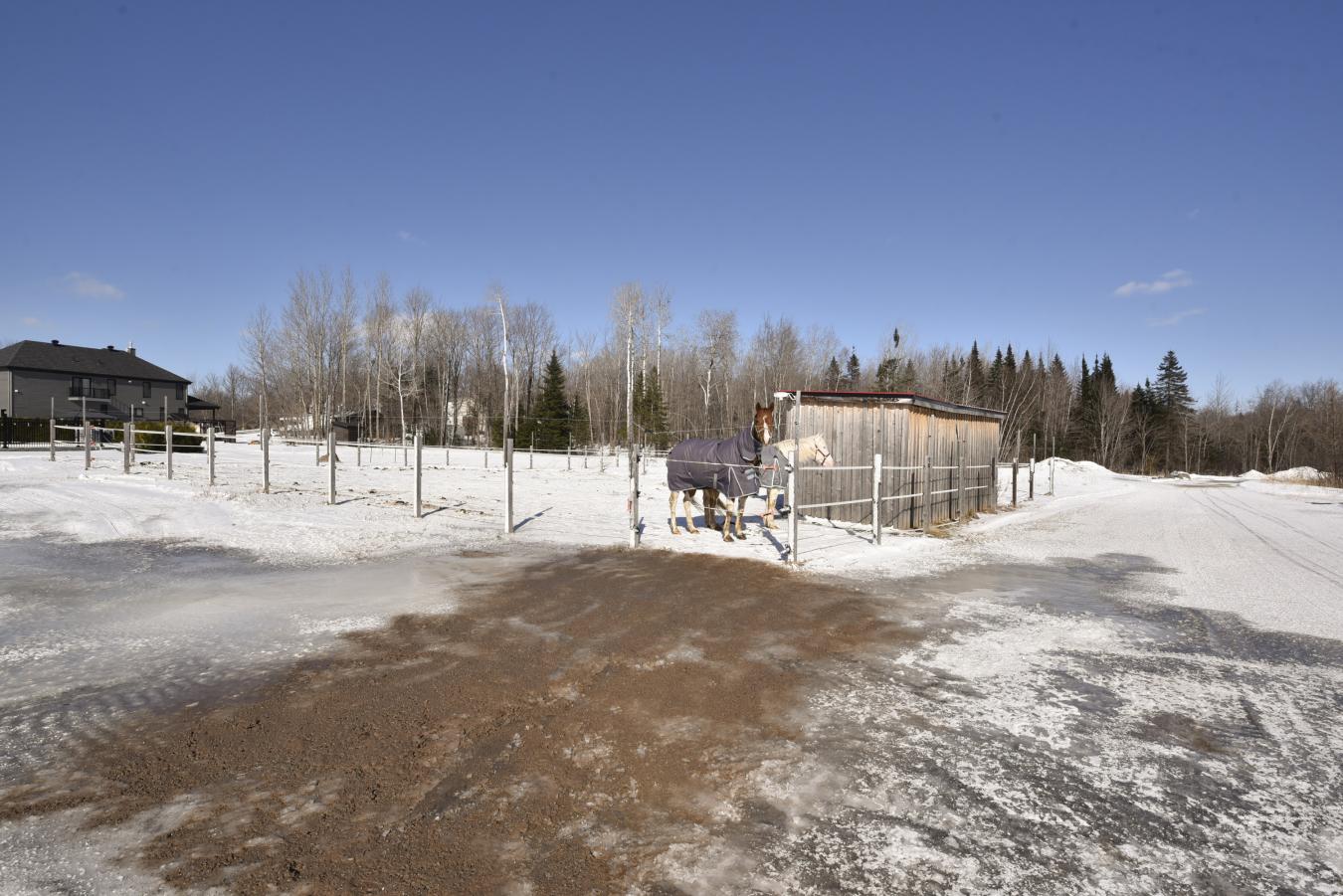 1172 rue Ste-H?l?ne, Lévis, QC, G6Z2L2, Canada, 4 Bedrooms Bedrooms, ,2 BathroomsBathrooms,Residential,For Sale,1172 rue Ste-H?l?ne,1547163