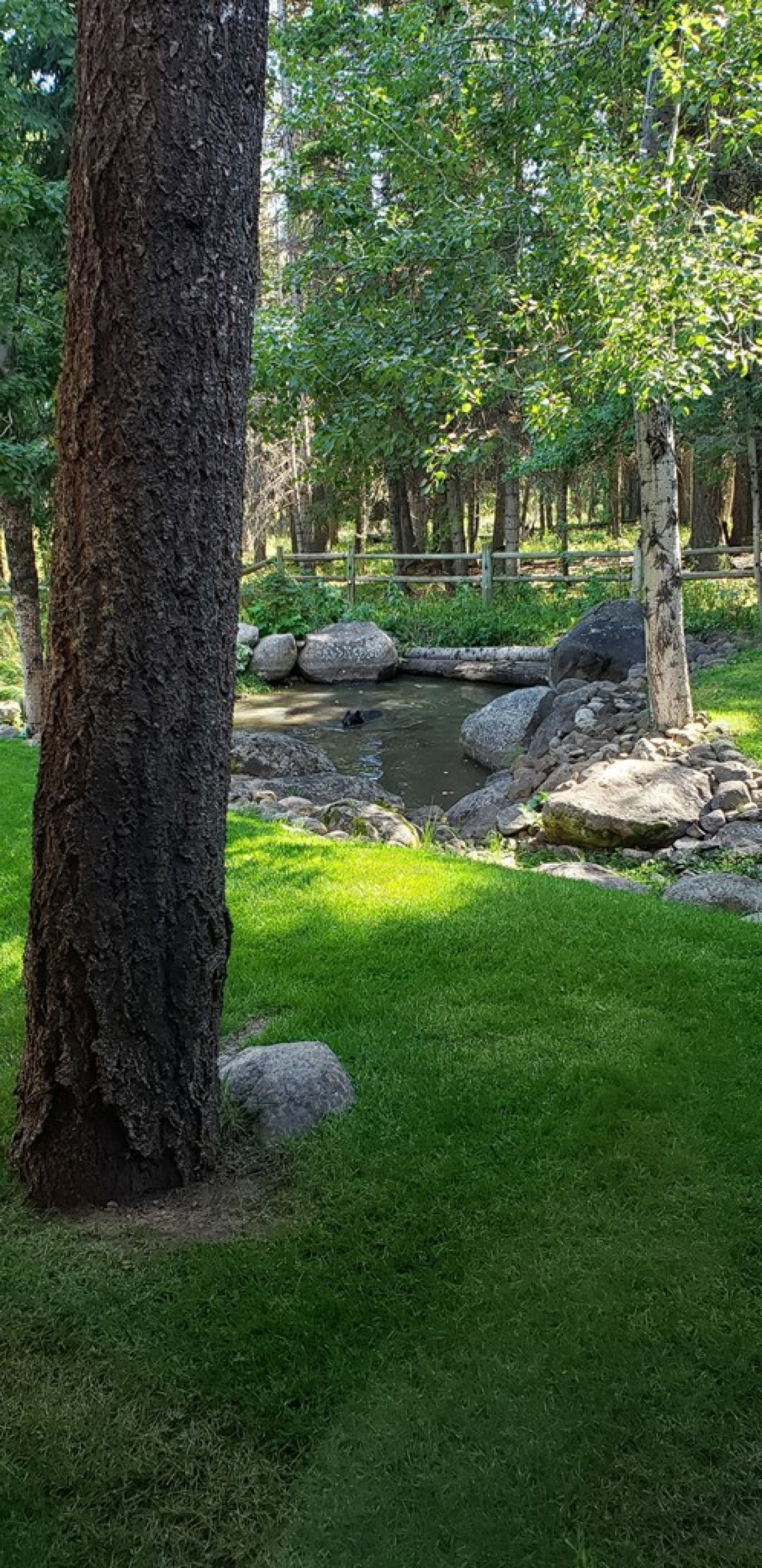 1423 Veronica Ln, McCall, ID, 83638, United States, 4 Bedrooms Bedrooms, ,3 BathroomsBathrooms,Residential,For Sale,1423 Veronica Ln,1547028