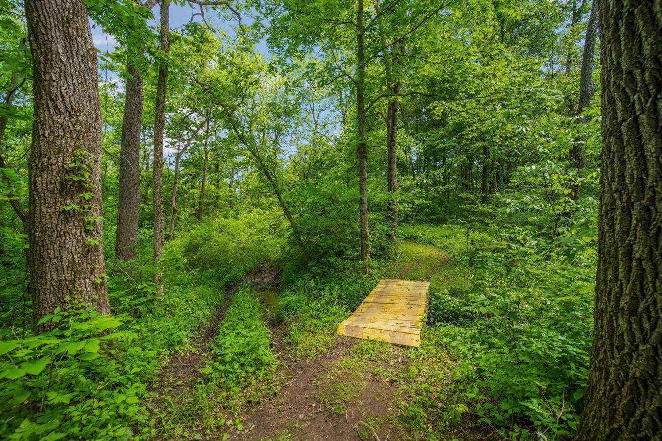 1498 Winding Oak, Baltimore, Ohio, 43105, United States, 4 Bedrooms Bedrooms, ,4 BathroomsBathrooms,Residential,For Sale,1498 Winding Oak,1546983