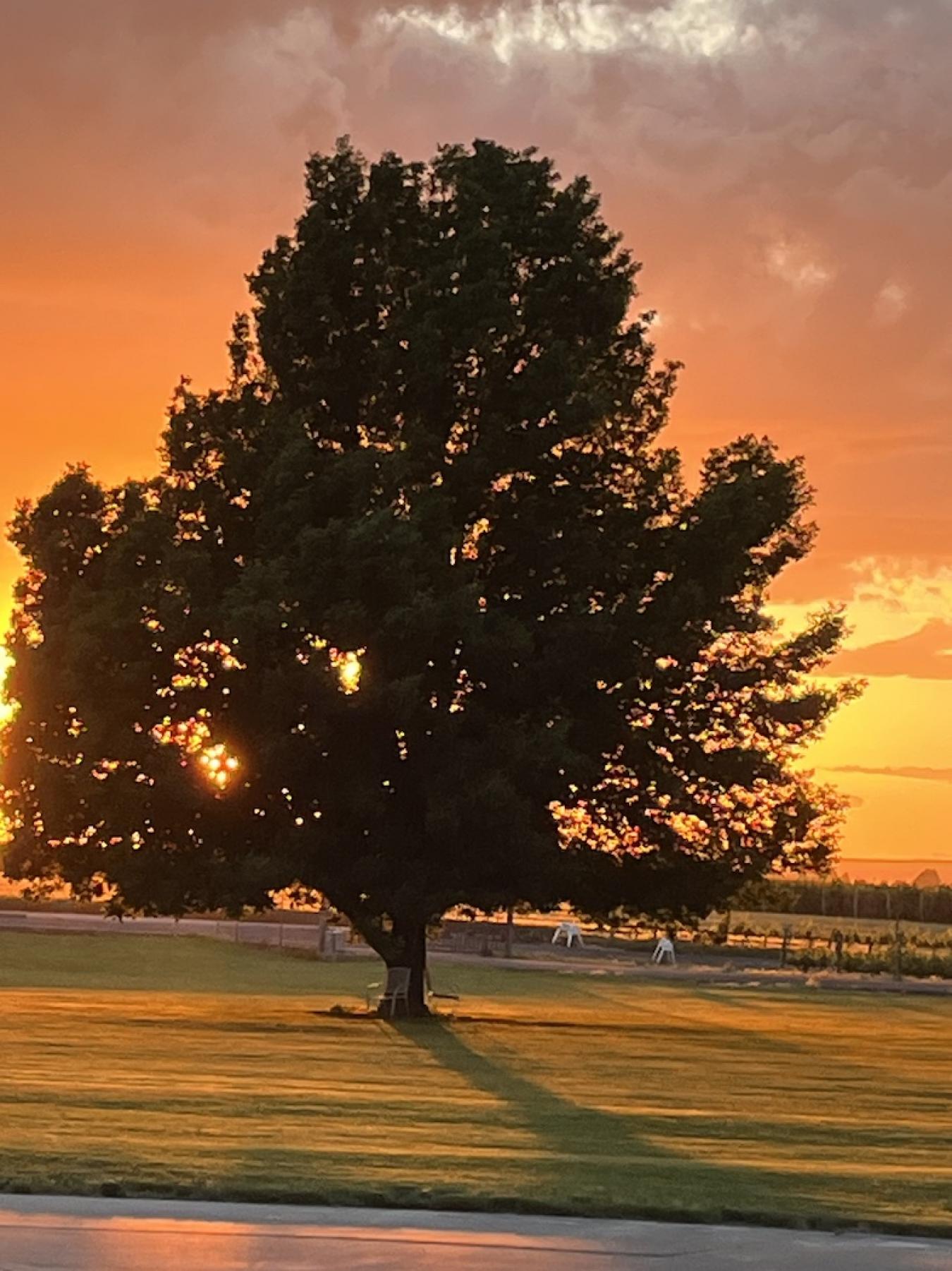 1702 JB George Rd, Walla Walla, WA, 99362, United States, 5 Bedrooms Bedrooms, ,4 BathroomsBathrooms,Residential,For Sale,1702 JB George Rd,1548323