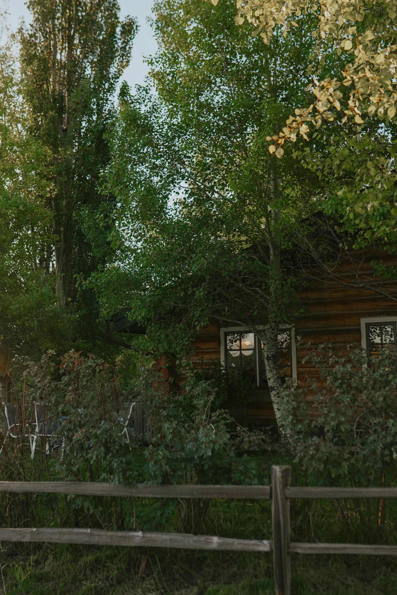 8480 Gooch Hill, Bozman, MT, 59718, United States, 3 Bedrooms Bedrooms, ,2 BathroomsBathrooms,Residential,For Sale,8480 Gooch Hill,1563993