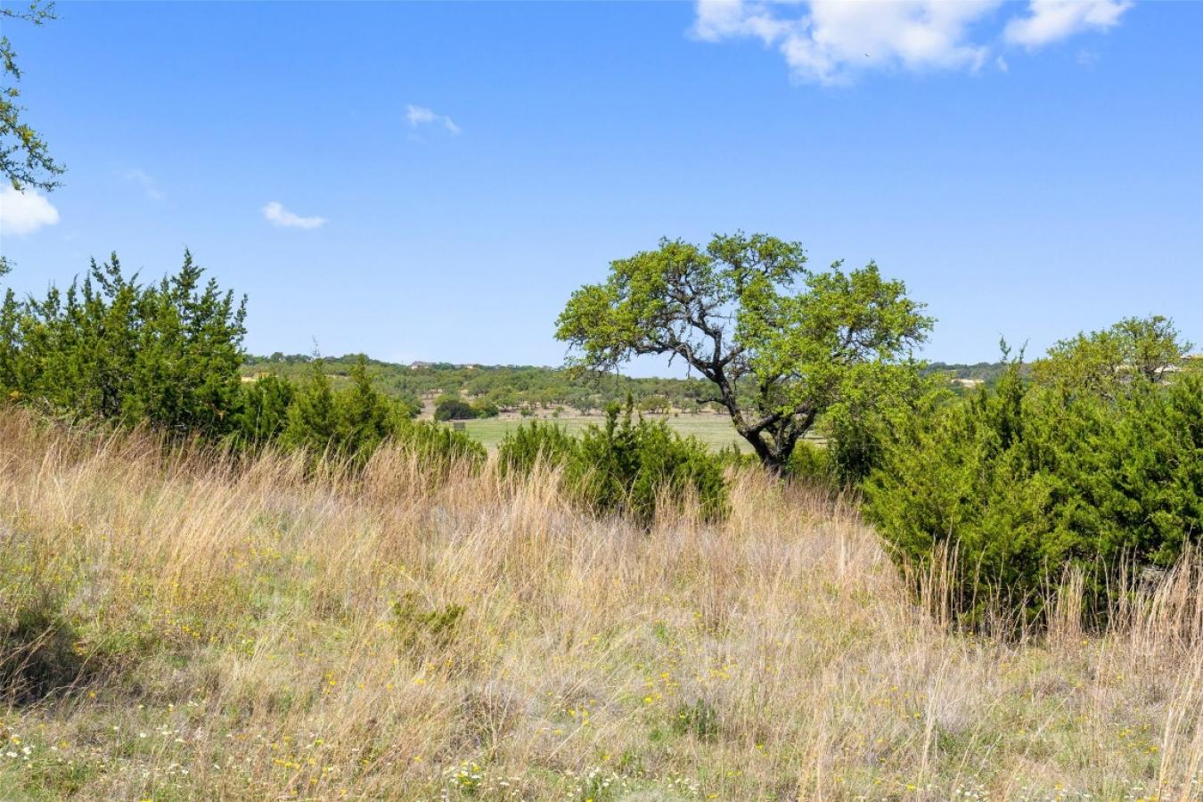 16000 Cool Breeze Cove, Austin, TX, 78738, United States, ,Residential,For Sale,16000 Cool Breeze Cove,1568846