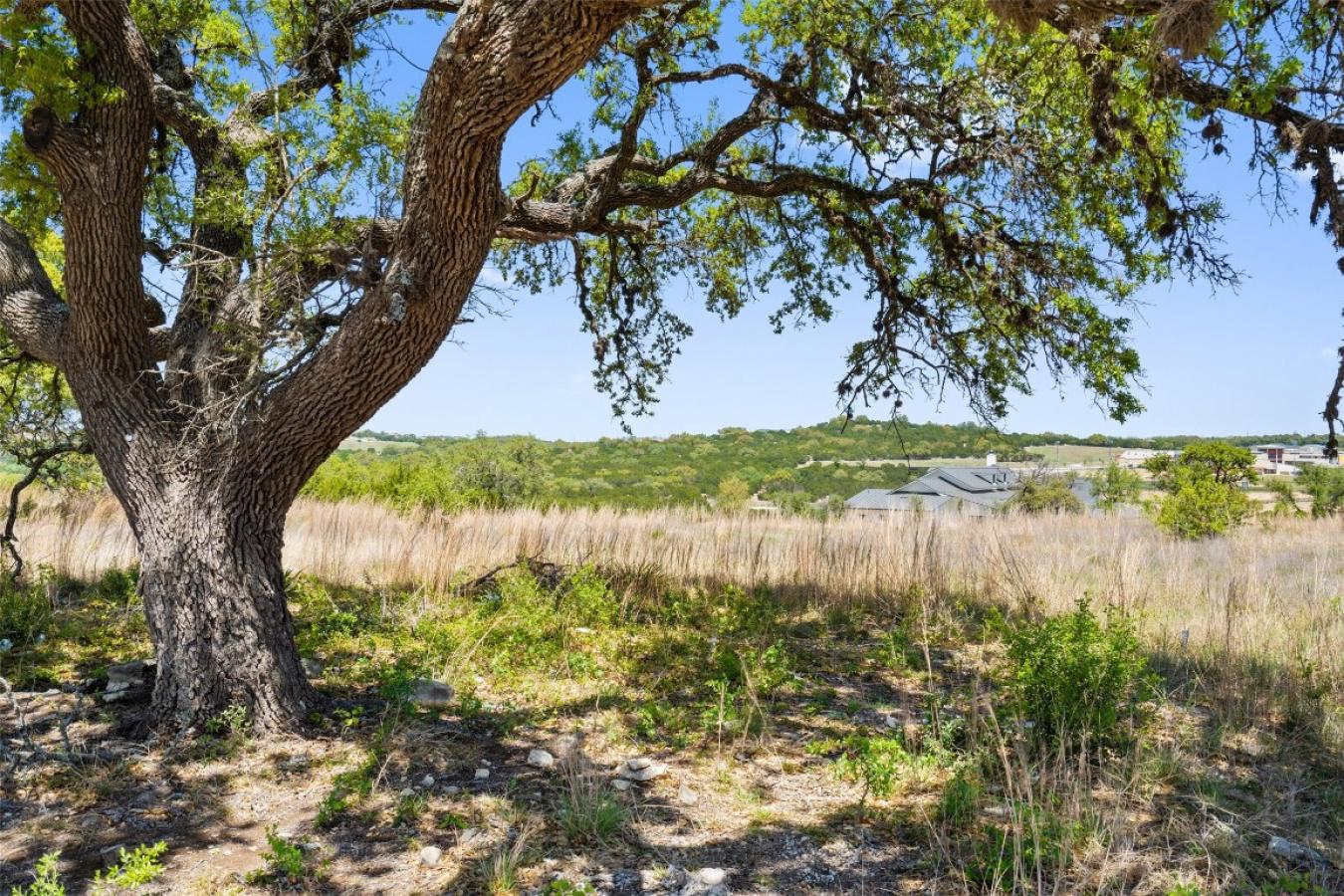16000 Cool Breeze Cove, Austin, TX, 78738, United States, ,Residential,For Sale,16000 Cool Breeze Cove,1568846