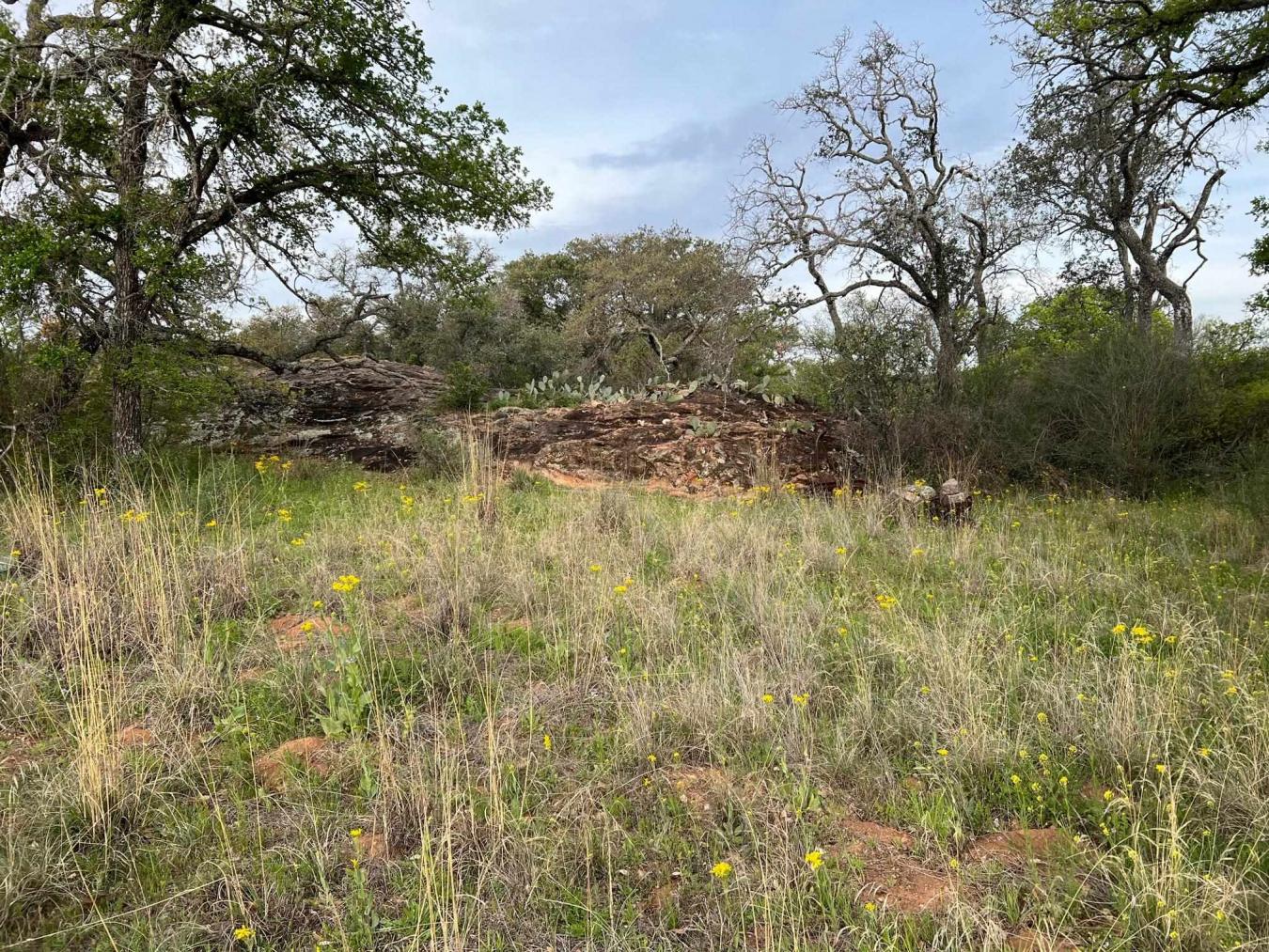 12041 W Ranch Road 152, Llano, TX, 78643, United States, 5 Bedrooms Bedrooms, ,3 BathroomsBathrooms,Residential,For Sale,12041 W Ranch Road 152,1568841