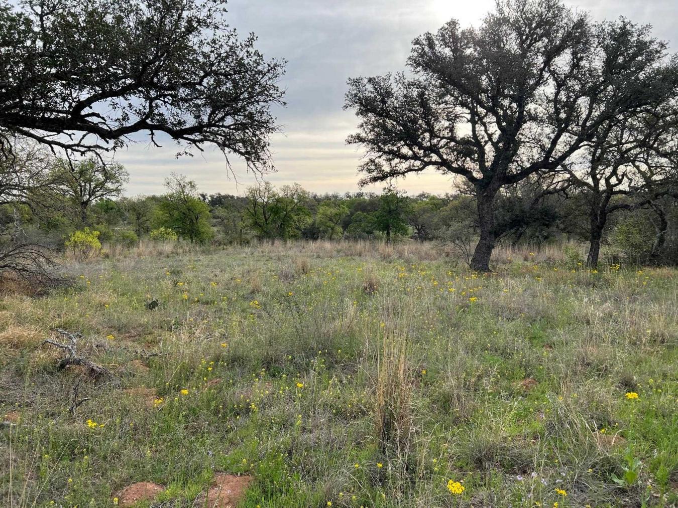 12041 W Ranch Road 152, Llano, TX, 78643, United States, 5 Bedrooms Bedrooms, ,3 BathroomsBathrooms,Residential,For Sale,12041 W Ranch Road 152,1568841