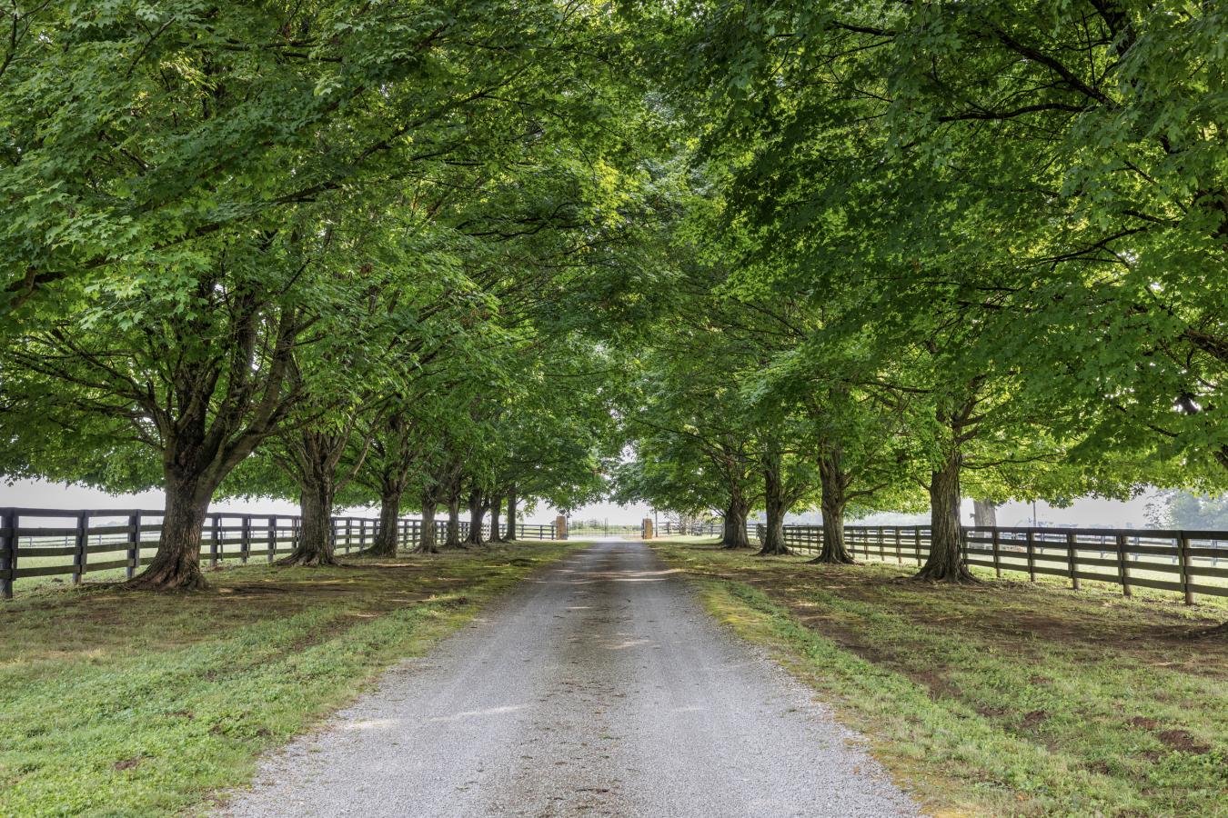 575 Moody Pike, Shelbyville, KY, 40065, United States, 5 Bedrooms Bedrooms, ,3 BathroomsBathrooms,Residential,For Sale,575 Moody Pike,1574275