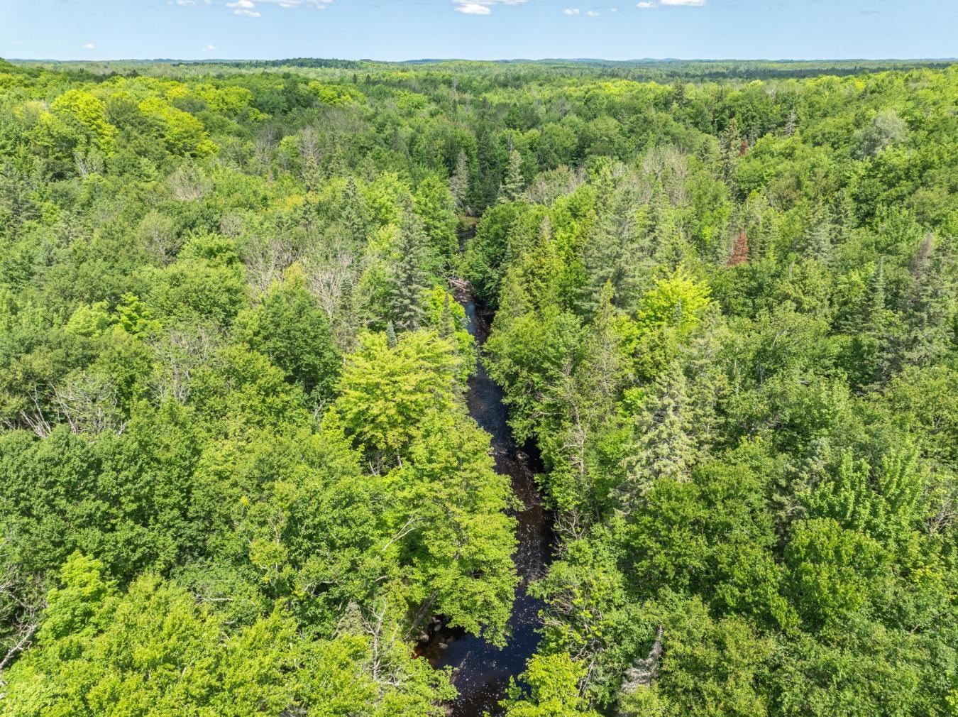 10294N Dump Road, Oma, Wisconsin, 54534, United States, 6 Bedrooms Bedrooms, ,6 BathroomsBathrooms,Residential,For Sale,10294N Dump Road,1577347