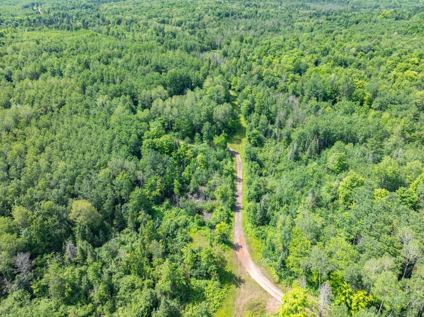 10294N Dump Road, Oma, Wisconsin, 54534, United States, 6 Bedrooms Bedrooms, ,6 BathroomsBathrooms,Residential,For Sale,10294N Dump Road,1577347