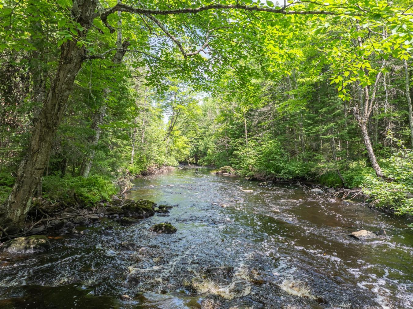 10294N Dump Road, Oma, Wisconsin, 54534, United States, 6 Bedrooms Bedrooms, ,6 BathroomsBathrooms,Residential,For Sale,10294N Dump Road,1577347