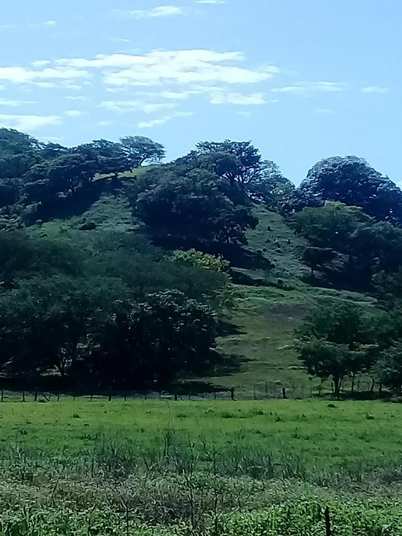 0 152 Intersection with San Jose Pinilla, Guanacaste, Iowa, 50309, United States, ,Residential,For Sale,0 152 Intersection with San Jose Pinilla,1057988