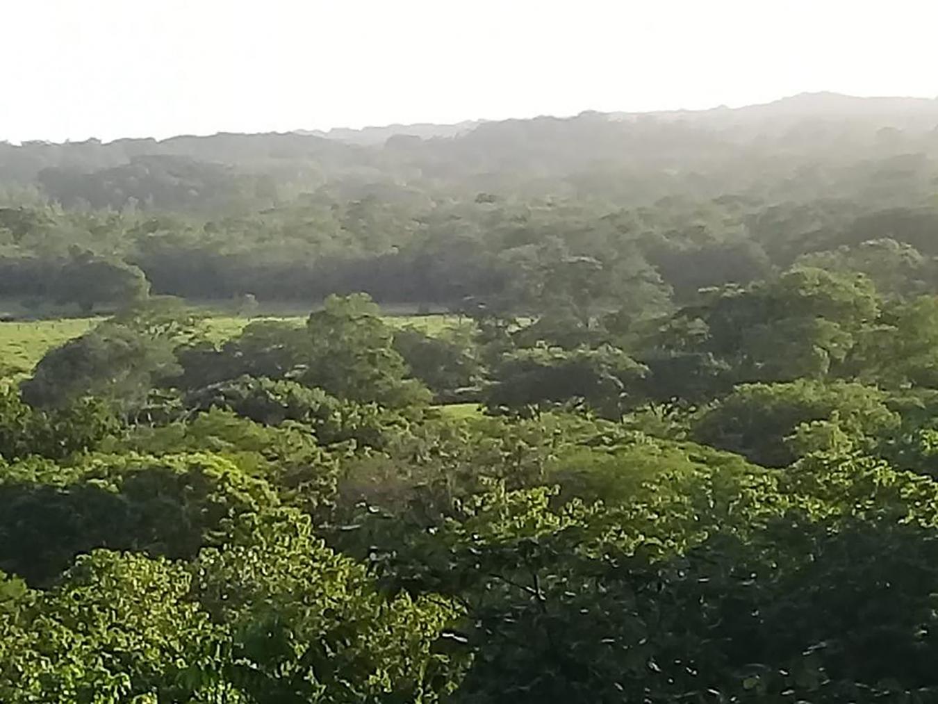 0 152 Intersection with San Jose Pinilla, Guanacaste, Iowa, 50309, United States, ,Residential,For Sale,0 152 Intersection with San Jose Pinilla,1057988