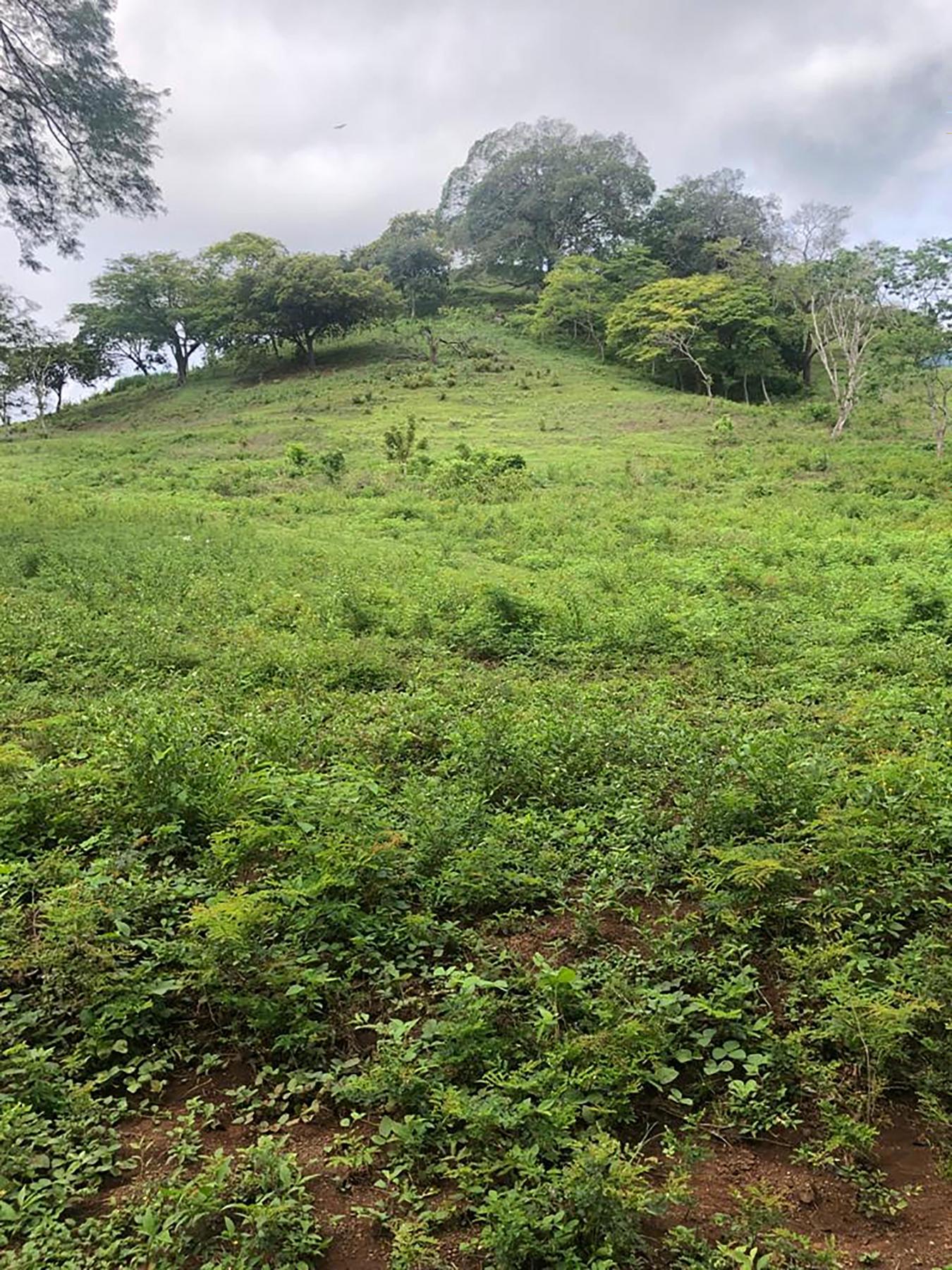 0 152 Intersection with San Jose Pinilla, Guanacaste, Iowa, 50309, United States, ,Residential,For Sale,0 152 Intersection with San Jose Pinilla,1057988