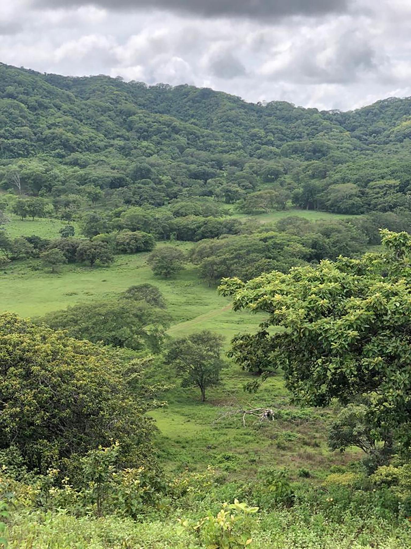 0 152 Intersection with San Jose Pinilla, Guanacaste, Iowa, 50309, United States, ,Residential,For Sale,0 152 Intersection with San Jose Pinilla,1057988