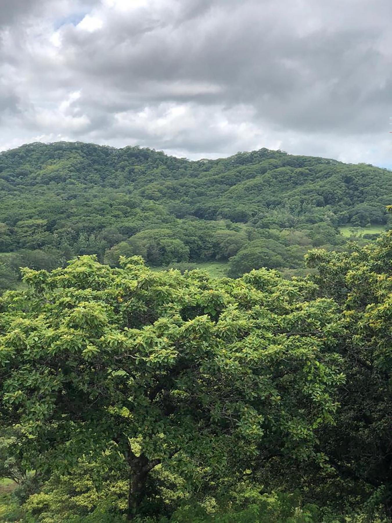 0 152 Intersection with San Jose Pinilla, Guanacaste, Iowa, 50309, United States, ,Residential,For Sale,0 152 Intersection with San Jose Pinilla,1057988