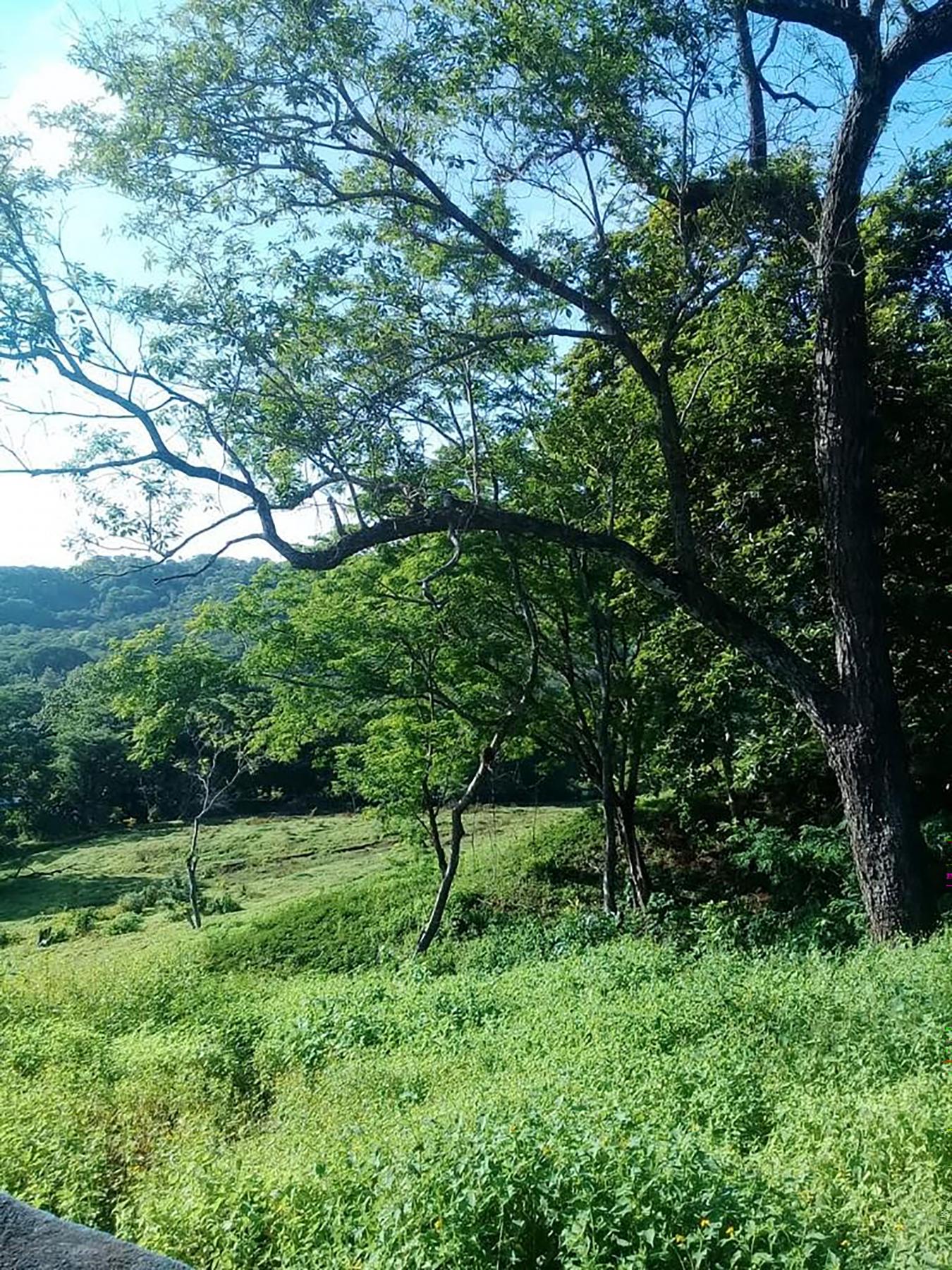 0 152 Intersection with San Jose Pinilla, Guanacaste, Iowa, 50309, United States, ,Residential,For Sale,0 152 Intersection with San Jose Pinilla,1057988
