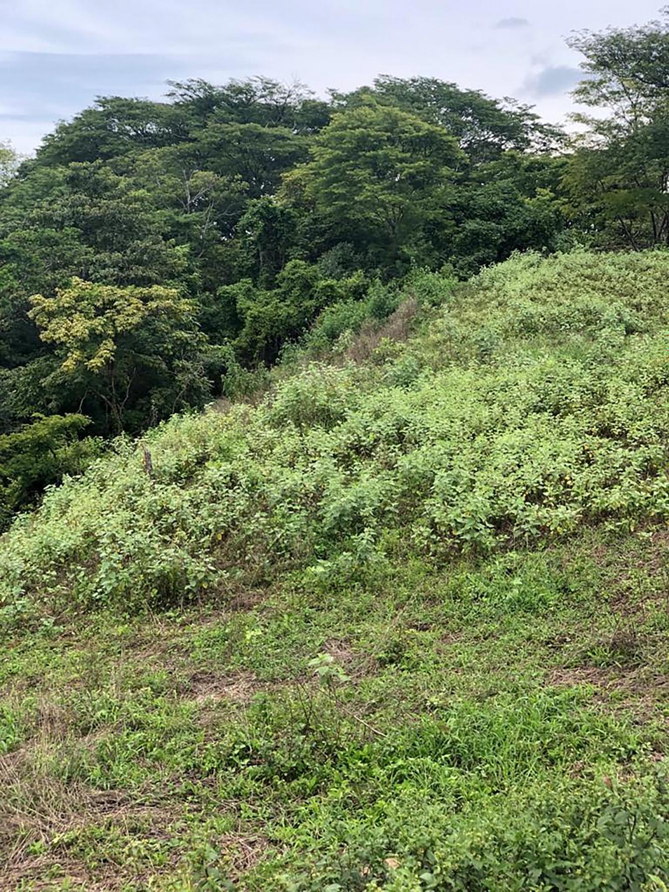 0 152 Intersection with San Jose Pinilla, Guanacaste, Iowa, 50309, United States, ,Residential,For Sale,0 152 Intersection with San Jose Pinilla,1057988