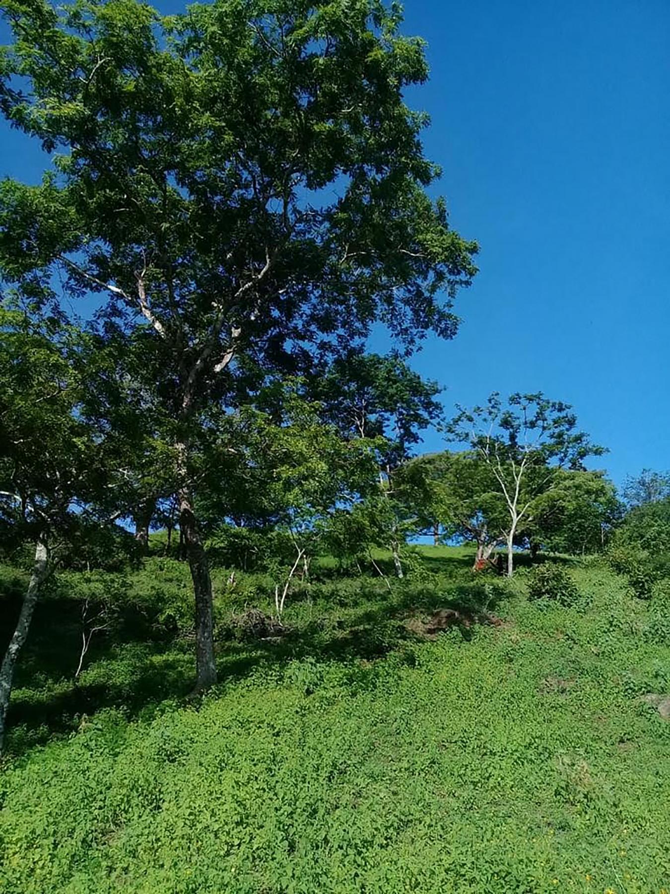 0 152 Intersection with San Jose Pinilla, Guanacaste, Iowa, 50309, United States, ,Residential,For Sale,0 152 Intersection with San Jose Pinilla,1057988