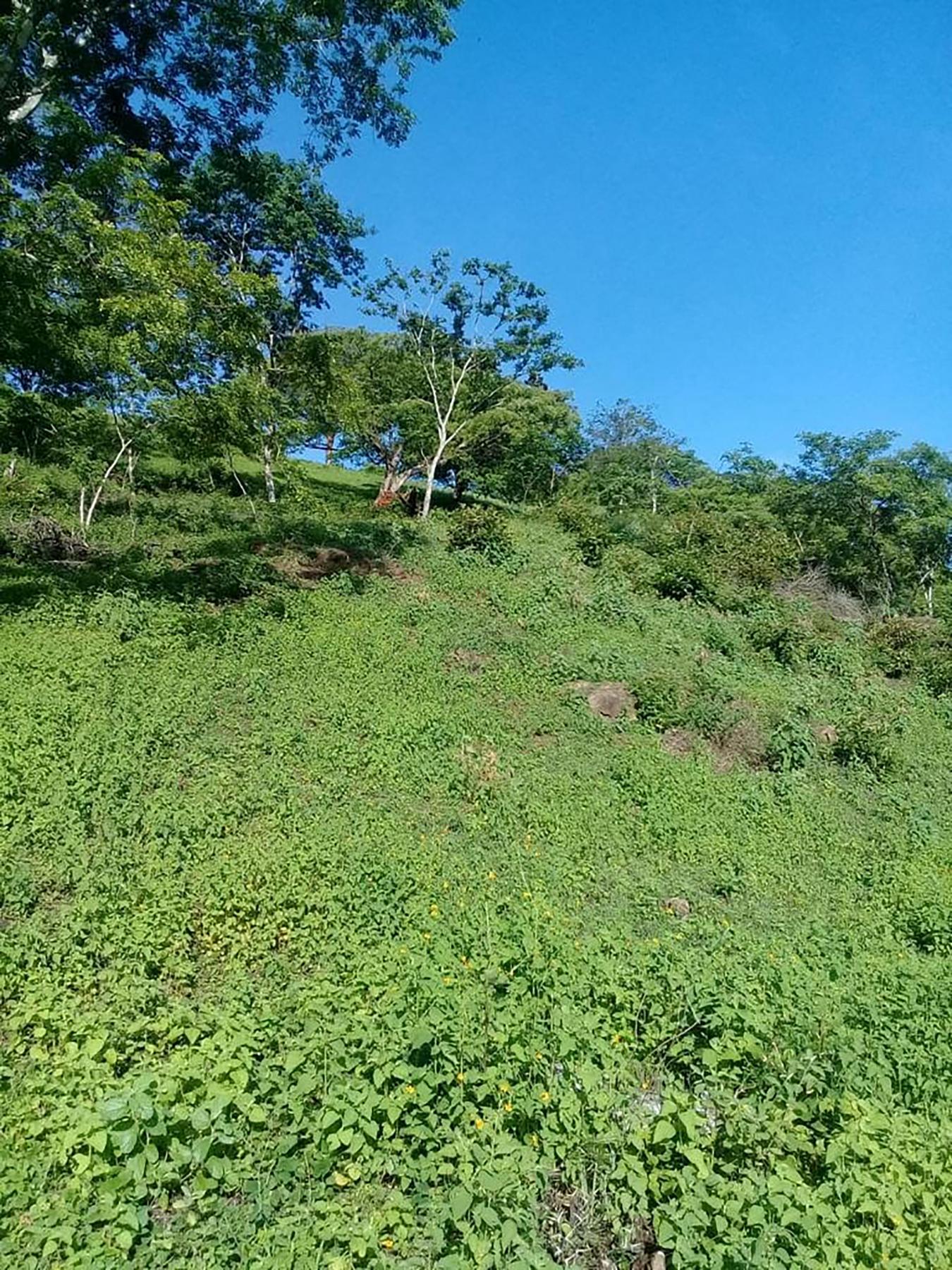 0 152 Intersection with San Jose Pinilla, Guanacaste, Iowa, 50309, United States, ,Residential,For Sale,0 152 Intersection with San Jose Pinilla,1057988