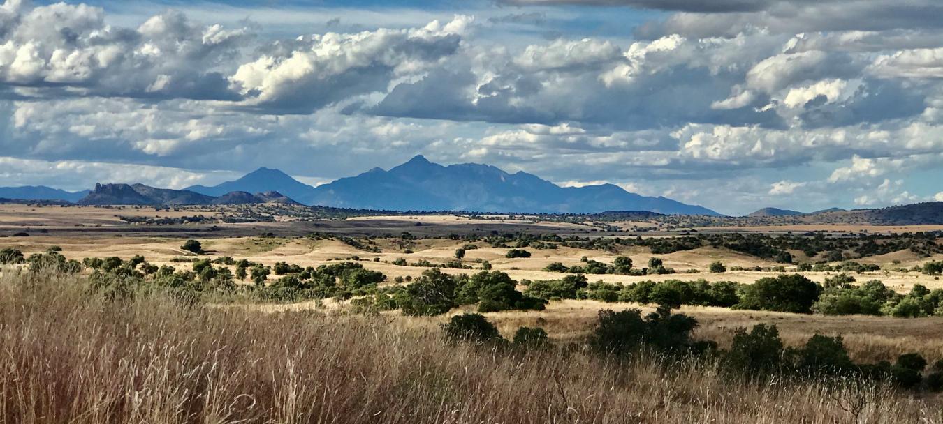 TBD Forest Road 4748, Patagonia, AZ, 85624, United States, 2 Bedrooms Bedrooms, ,3 BathroomsBathrooms,Residential,For Sale,TBD Forest Road 4748,1581075