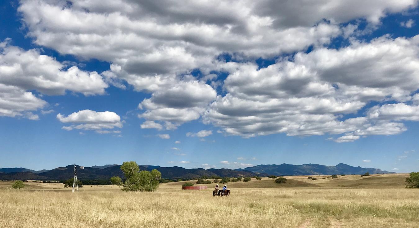 TBD Forest Road 4748, Patagonia, AZ, 85624, United States, 2 Bedrooms Bedrooms, ,3 BathroomsBathrooms,Residential,For Sale,TBD Forest Road 4748,1581075