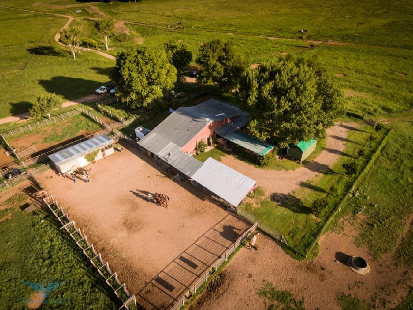 TBD Forest Road 4748, Patagonia, AZ, 85624, United States, 2 Bedrooms Bedrooms, ,3 BathroomsBathrooms,Residential,For Sale,TBD Forest Road 4748,1581075