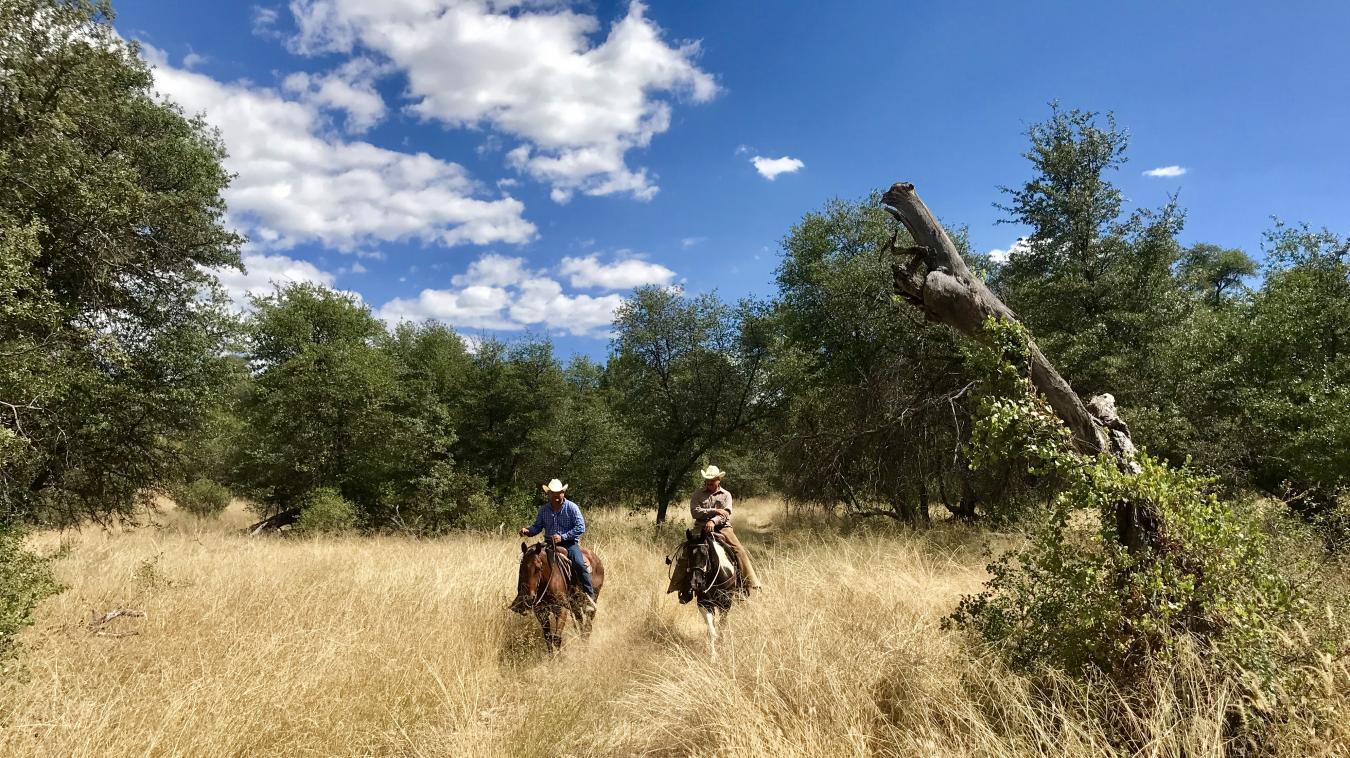 TBD Forest Road 4748, Patagonia, AZ, 85624, United States, 2 Bedrooms Bedrooms, ,3 BathroomsBathrooms,Residential,For Sale,TBD Forest Road 4748,1581075