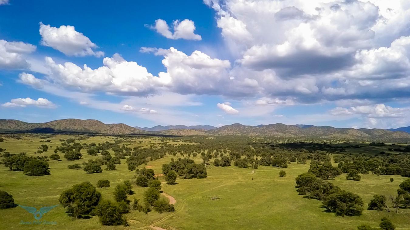 TBD Forest Road 4748, Patagonia, AZ, 85624, United States, 2 Bedrooms Bedrooms, ,3 BathroomsBathrooms,Residential,For Sale,TBD Forest Road 4748,1581075