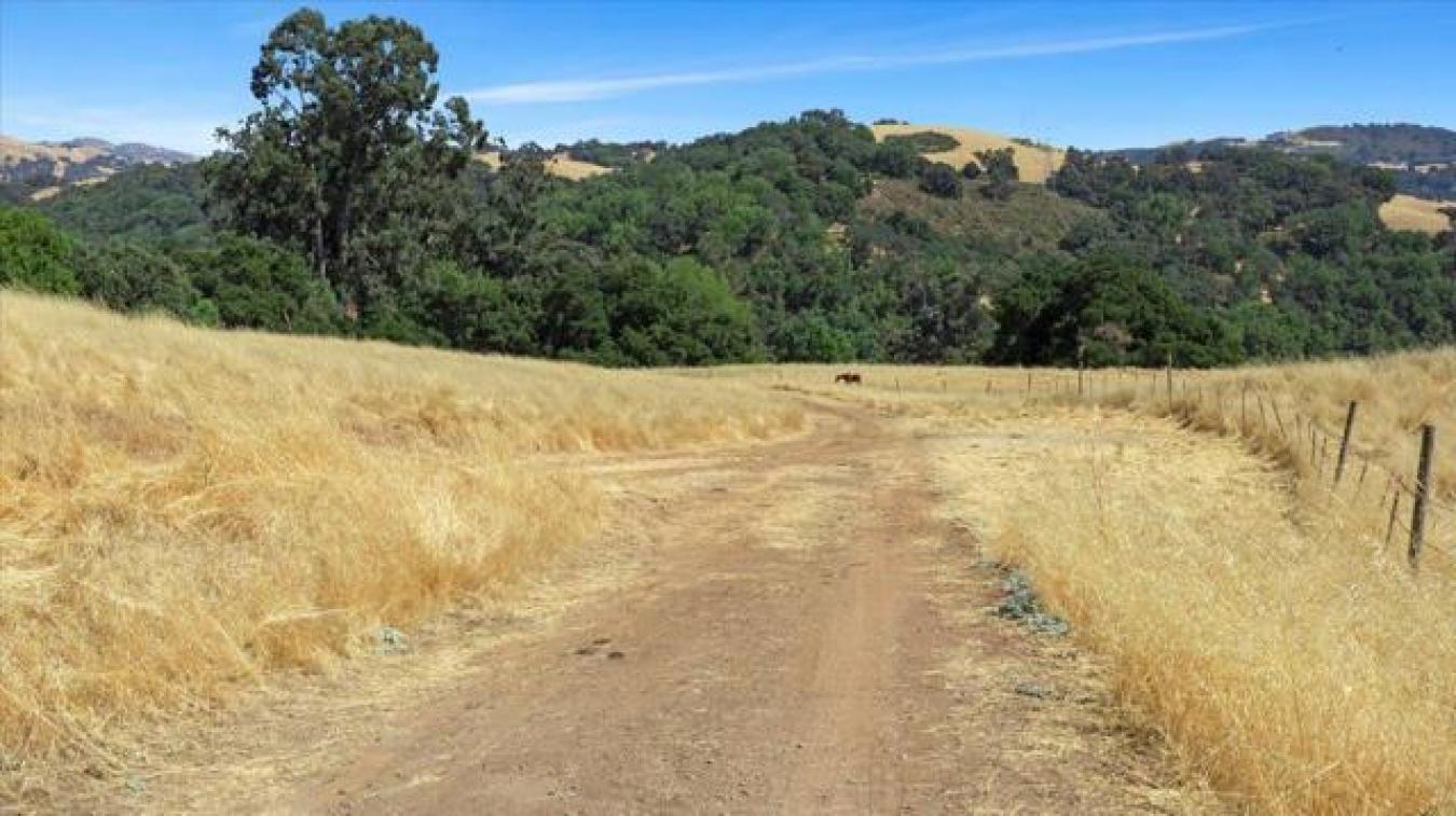 Mt Hamilton, San Jose, CA, 95140, United States, ,Residential,For Sale,Mt Hamilton,1581676