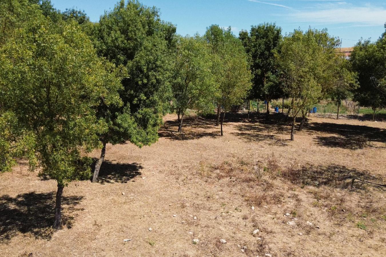 Rua Principal 1, Beja, 7800-556, Portugal, 7 Bedrooms Bedrooms, ,6 BathroomsBathrooms,Residential,For Sale,Rua Principal 1,1584251