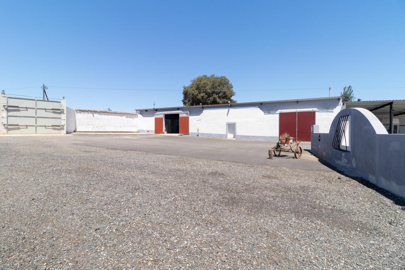 Rua Principal 1, Beja, 7800-556, Portugal, 7 Bedrooms Bedrooms, ,6 BathroomsBathrooms,Residential,For Sale,Rua Principal 1,1584251