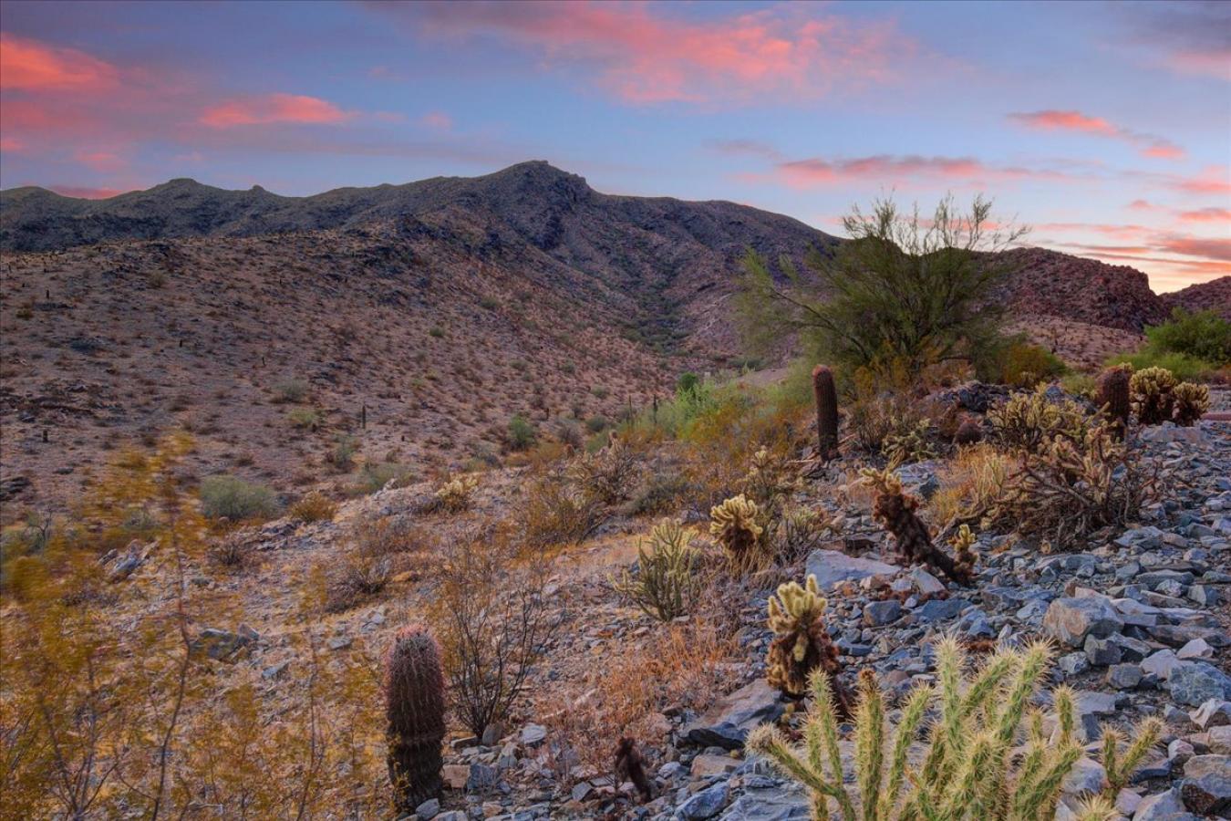 14211 S 5th Street, Phoenix, Arizona, 85048, United States, ,Residential,For Sale,14211 S 5th Street,1596797