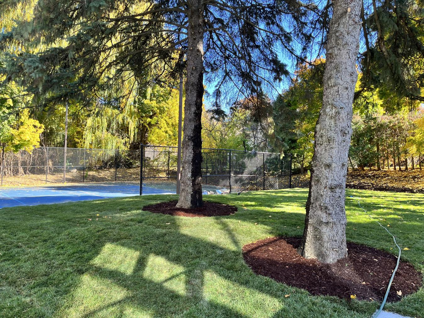 103 Old Colony Rd, Toronto, Ontario, M2L 2K3, Canada, 5 Bedrooms Bedrooms, ,11 BathroomsBathrooms,Residential,For Sale,103 Old Colony Rd,1636114