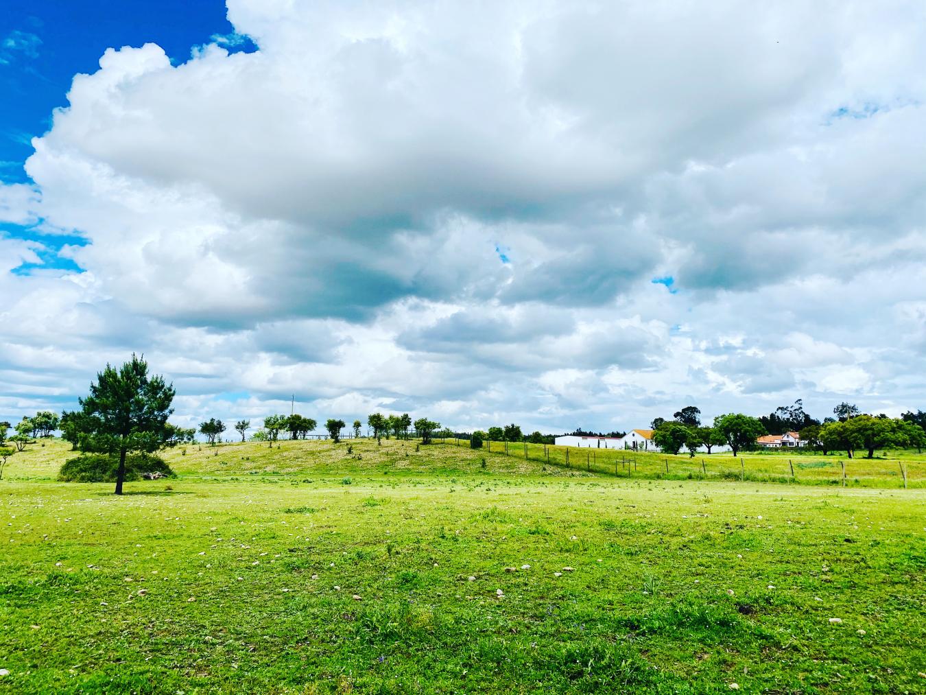 Rua Principal, Santerem, 2005-145, Portugal, 5 Bedrooms Bedrooms, ,7 BathroomsBathrooms,Residential,For Sale,Rua Principal,1636690