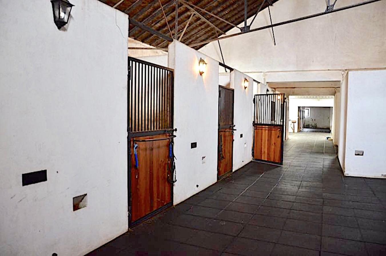 Rua Principal, Santerem, 2005-145, Portugal, 5 Bedrooms Bedrooms, ,7 BathroomsBathrooms,Residential,For Sale,Rua Principal,1636690