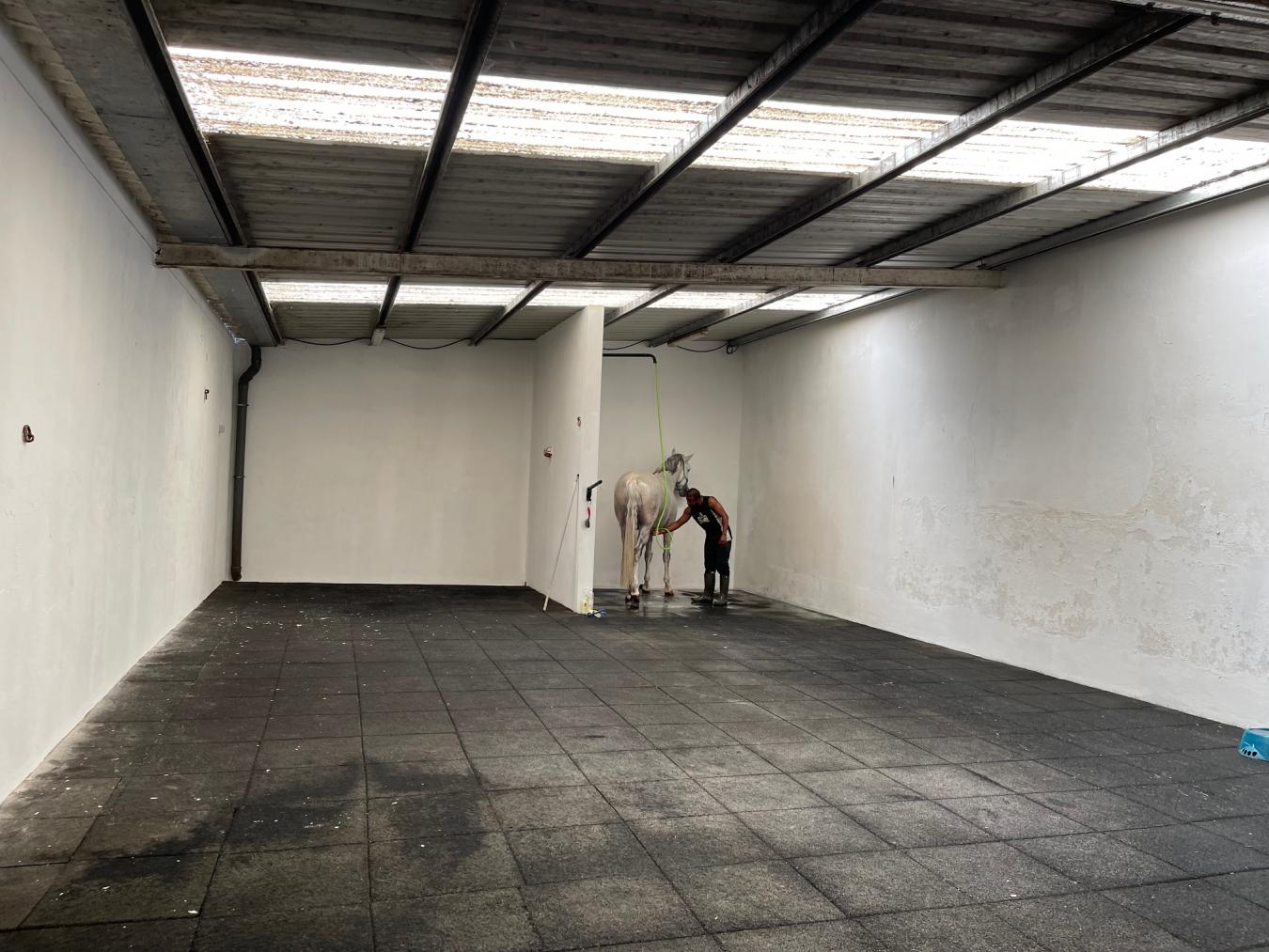 Rua Principal, Santerem, 2005-145, Portugal, 5 Bedrooms Bedrooms, ,7 BathroomsBathrooms,Residential,For Sale,Rua Principal,1636690