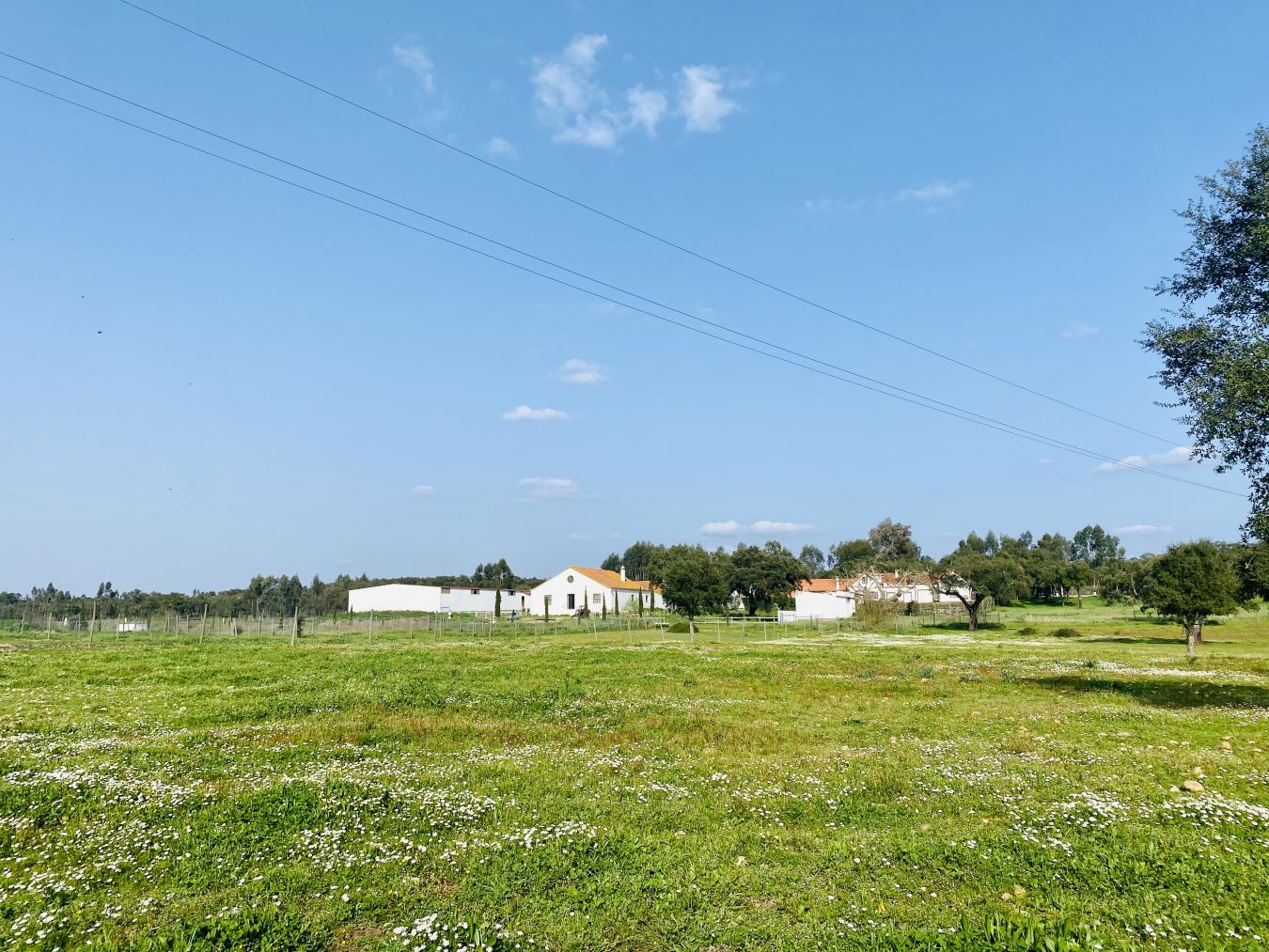 Rua Principal, Santerem, 2005-145, Portugal, 5 Bedrooms Bedrooms, ,7 BathroomsBathrooms,Residential,For Sale,Rua Principal,1636690