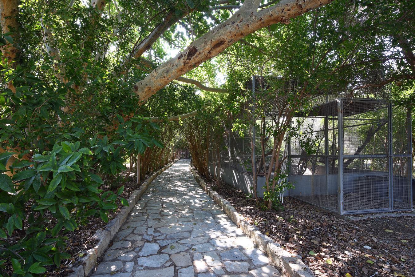 Limassol, Cyprus, Limassol, Cyprus, 5 Bedrooms Bedrooms, ,7 BathroomsBathrooms,Residential,For Sale,Limassol, Cyprus,1640955