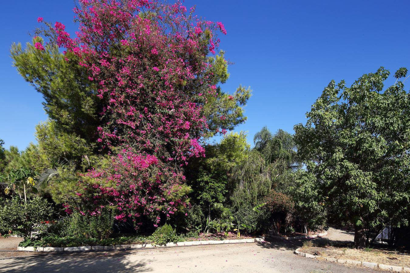 Limassol, Cyprus, Limassol, Cyprus, 5 Bedrooms Bedrooms, ,7 BathroomsBathrooms,Residential,For Sale,Limassol, Cyprus,1640955