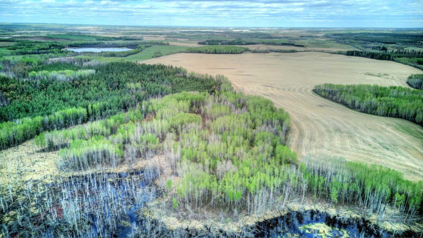 Rural Lac Ste Anne County, AB, T0E 2A0, Canada, ,Residential,For Sale,1677551