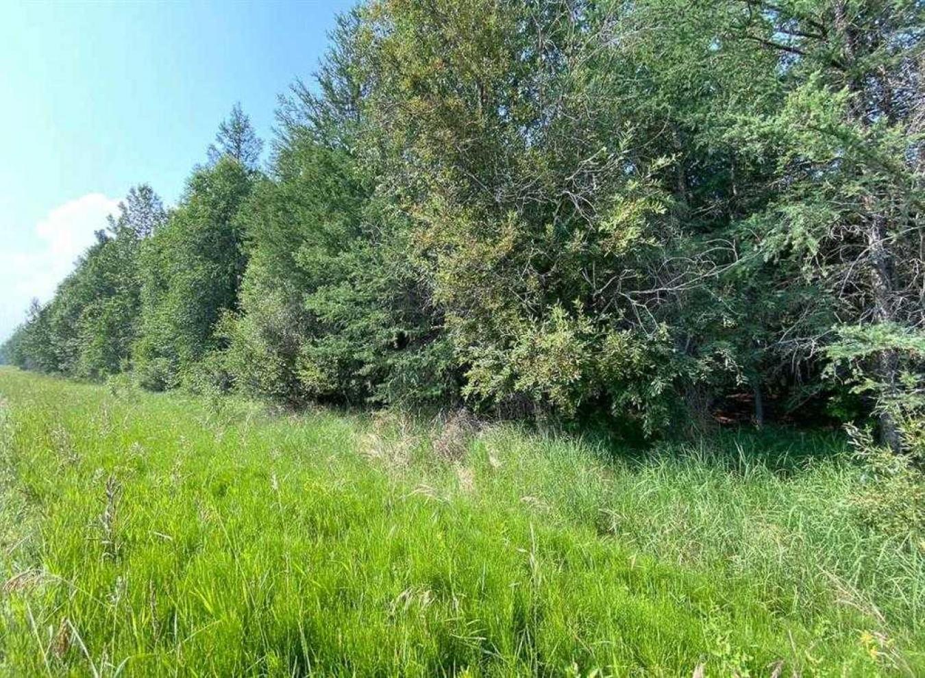 Rural Lac Ste Anne County, AB, T0E 2A0, Canada, ,Residential,For Sale,1677551