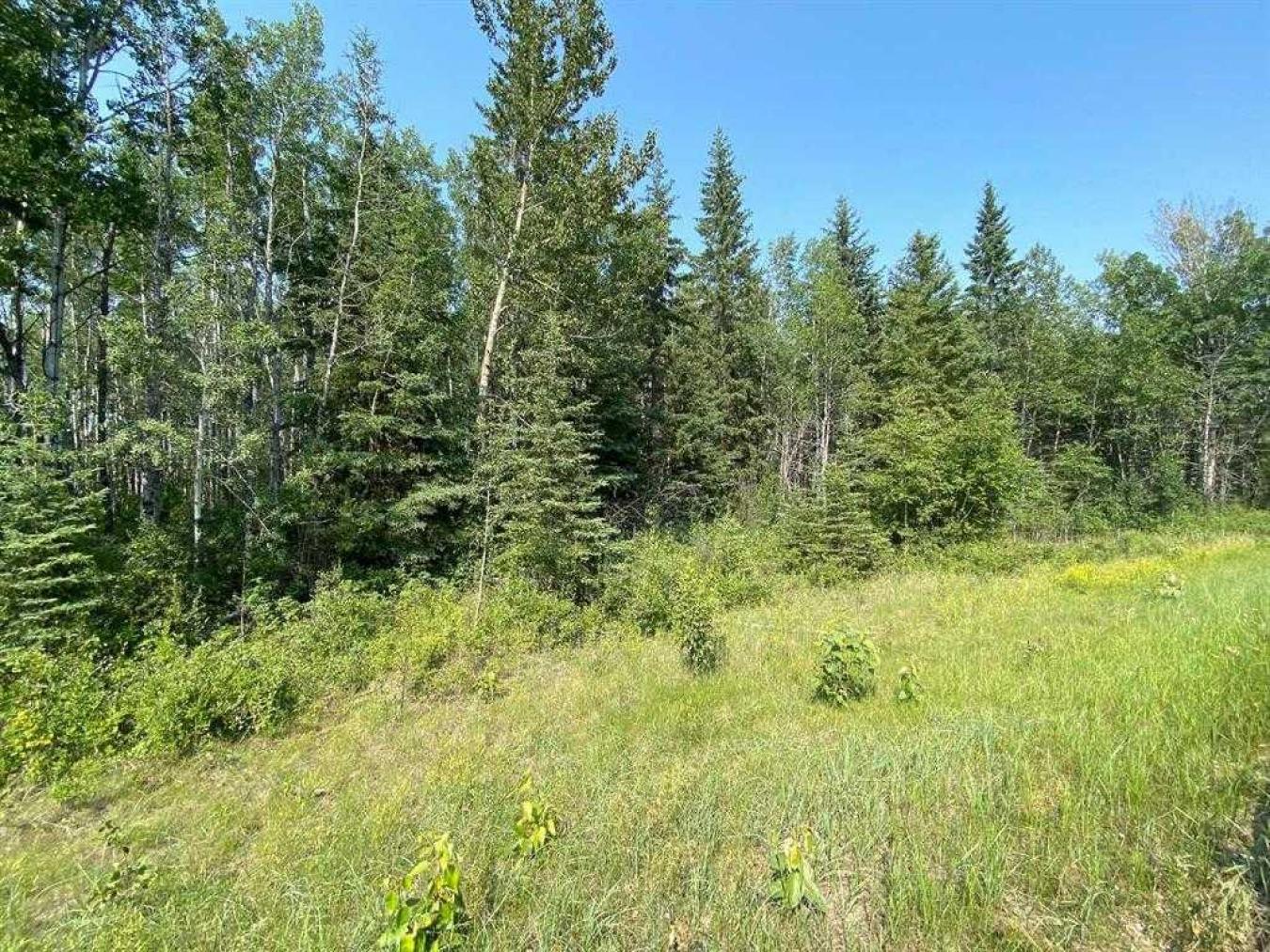 Rural Lac Ste Anne County, AB, T0E 2A0, Canada, ,Residential,For Sale,1677551